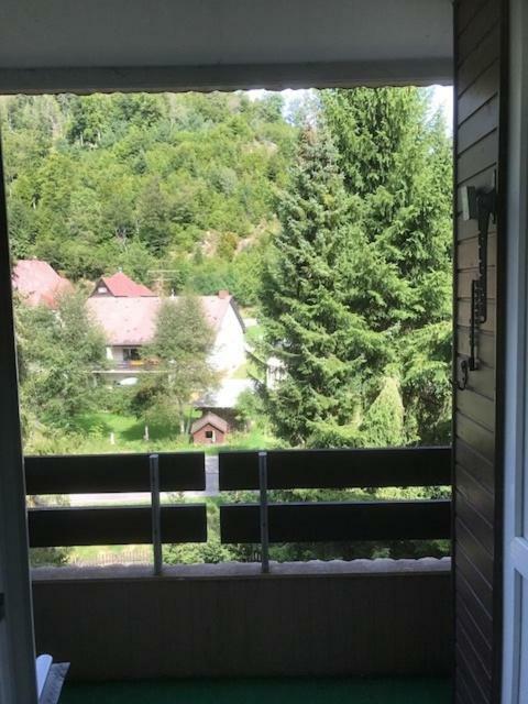 Fewo Mit Pool Haus Enere Au Todtmoos Exterior foto